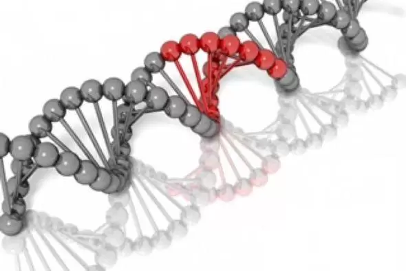 Tecnología Vanguardista Estudio -Genético & Microbiológico