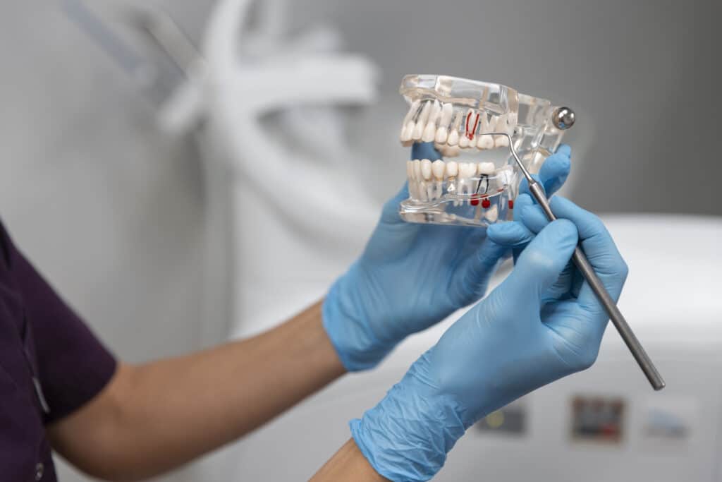 Ortodoncista con el molde para el invisalign